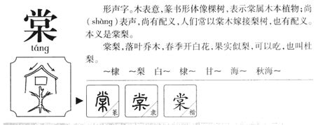 棠名字意思|棠字取名的含义是什么